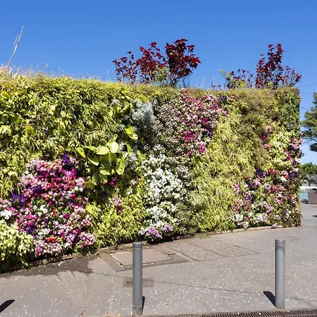 Home2book La Casa Toscal Cruz, Private Garage سانتا كروز دي تينيريف