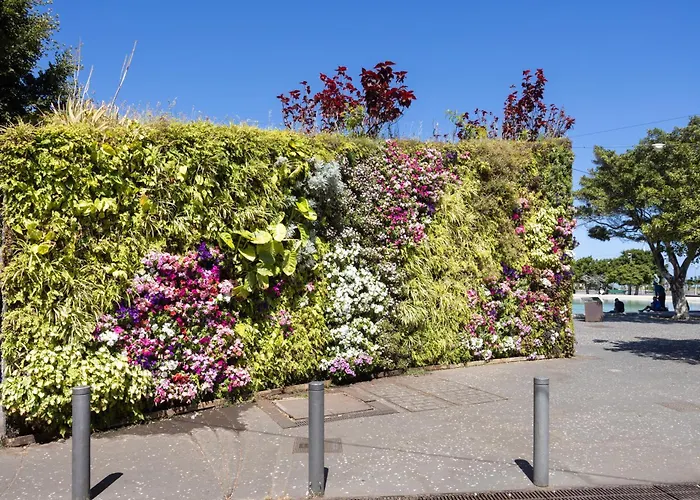 La Casa Toscal, Private Garage,bikes&central 147m2 Santa Cruz de Tenerife